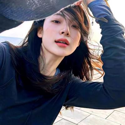 木材宝藏狗